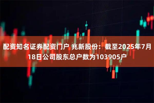 配资知名证券配资门户 兆新股份：截至2025年7月18日公司股东总户数为103905户