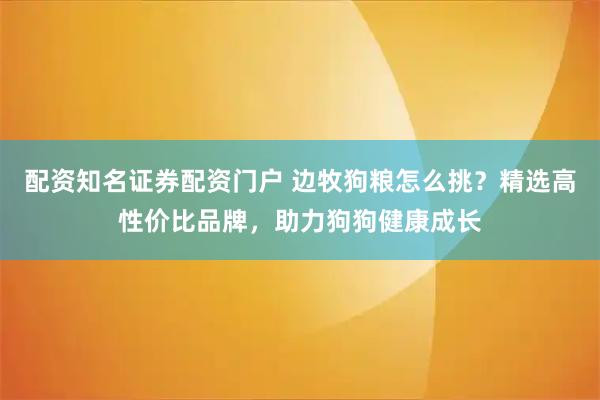 配资知名证券配资门户 边牧狗粮怎么挑？精选高性价比品牌，助力狗狗健康成长