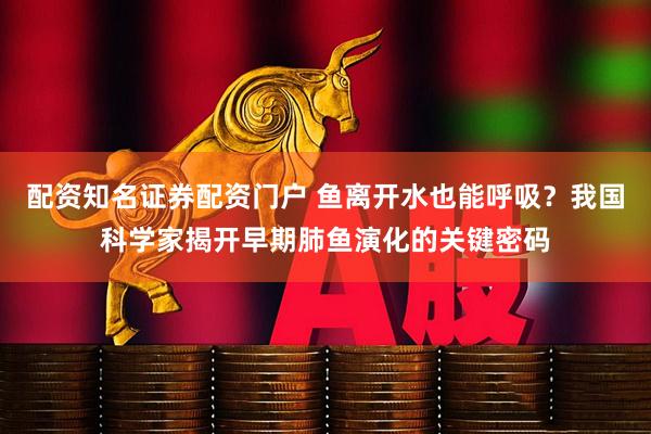配资知名证券配资门户 鱼离开水也能呼吸？我国科学家揭开早期肺鱼演化的关键密码