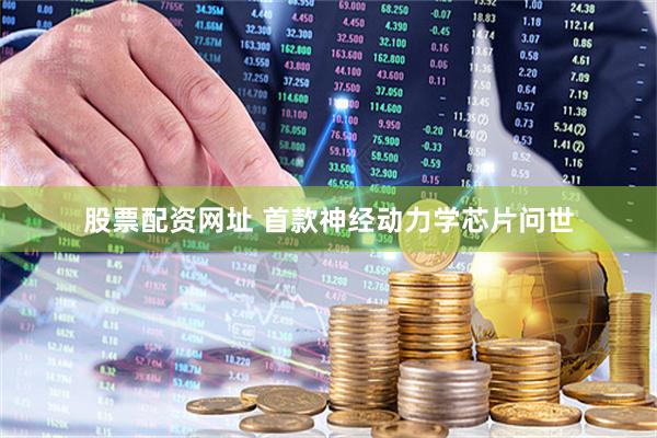 股票配资网址 首款神经动力学芯片问世